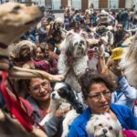 Proponen en Perú ley de licencia laboral por muerte de mascotas