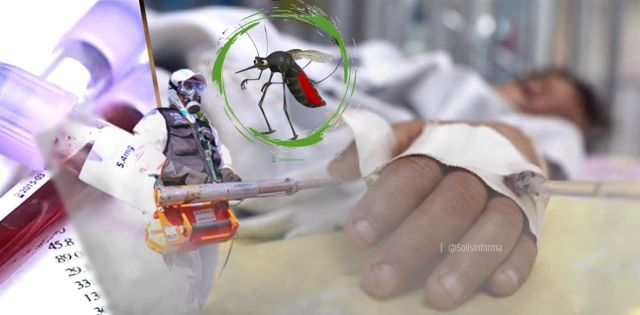 Repuntan los casos de malaria durante este año en el país